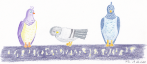 Pigeons (Dec 27, 2022)